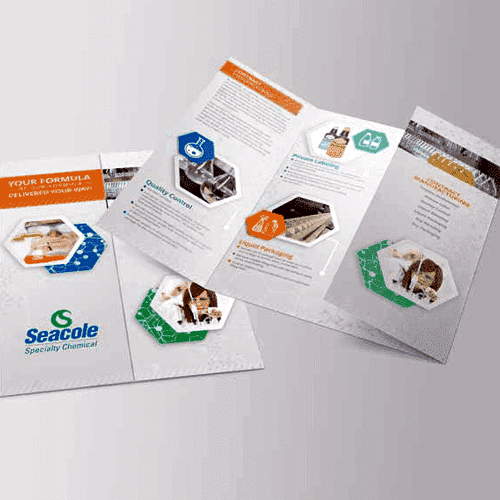 Brochure Real Size
