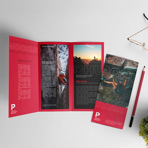 brochure-wood-free
